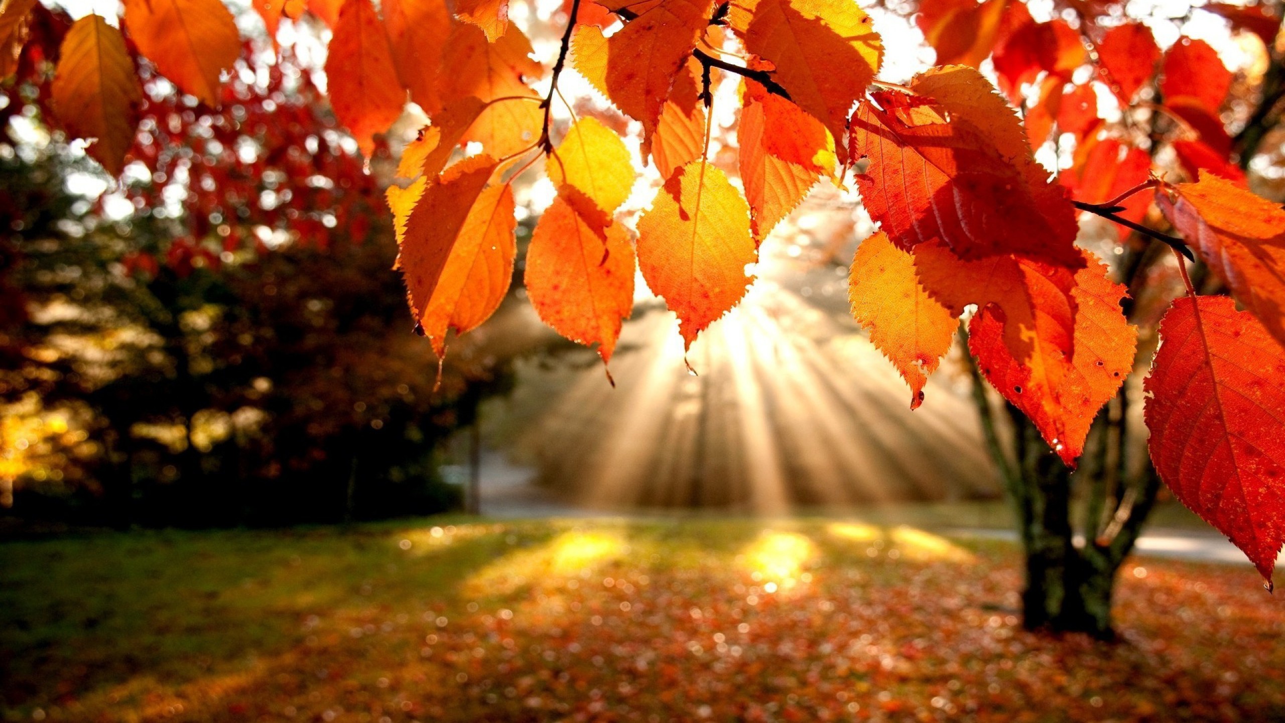 Selling Your Property In Autumn Here Are Our Top Tips